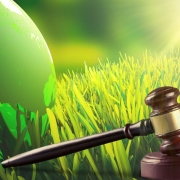 Sustainability laws set to drive real change